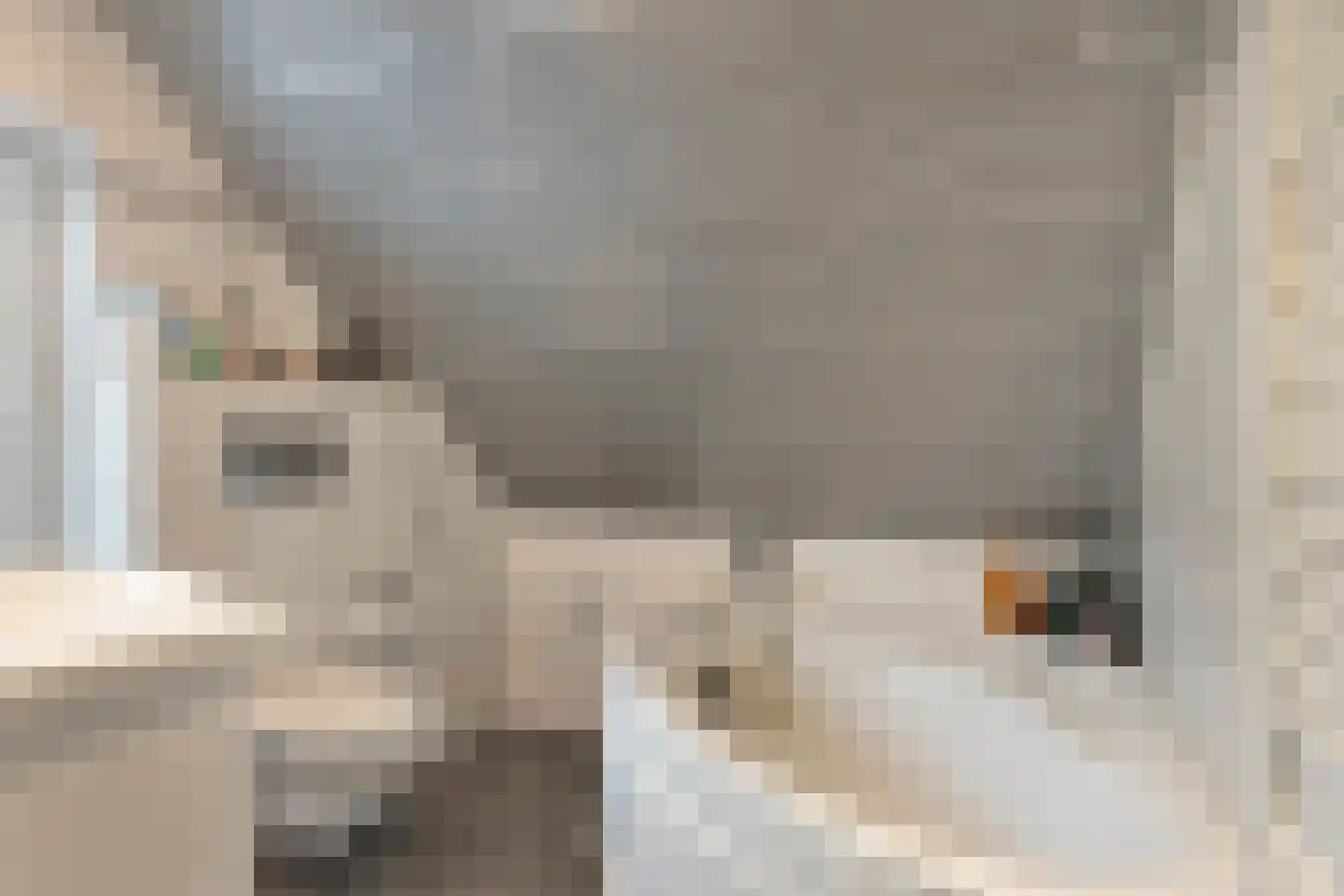 Leeuwerikstraat 12 Herkenbosch thumbnail 21