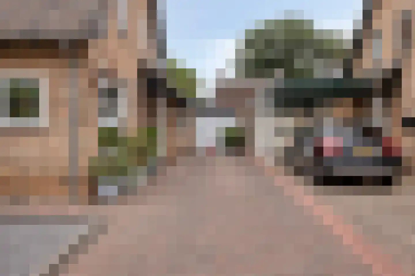 Leeuwerikstraat 12 Herkenbosch thumbnail 25