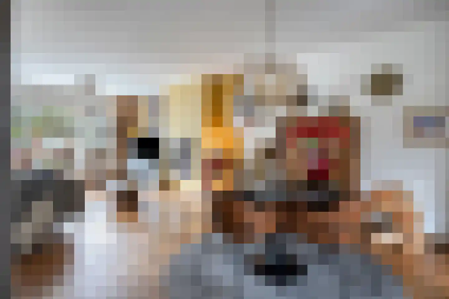 Leeuwerikstraat 12 Herkenbosch thumbnail 8