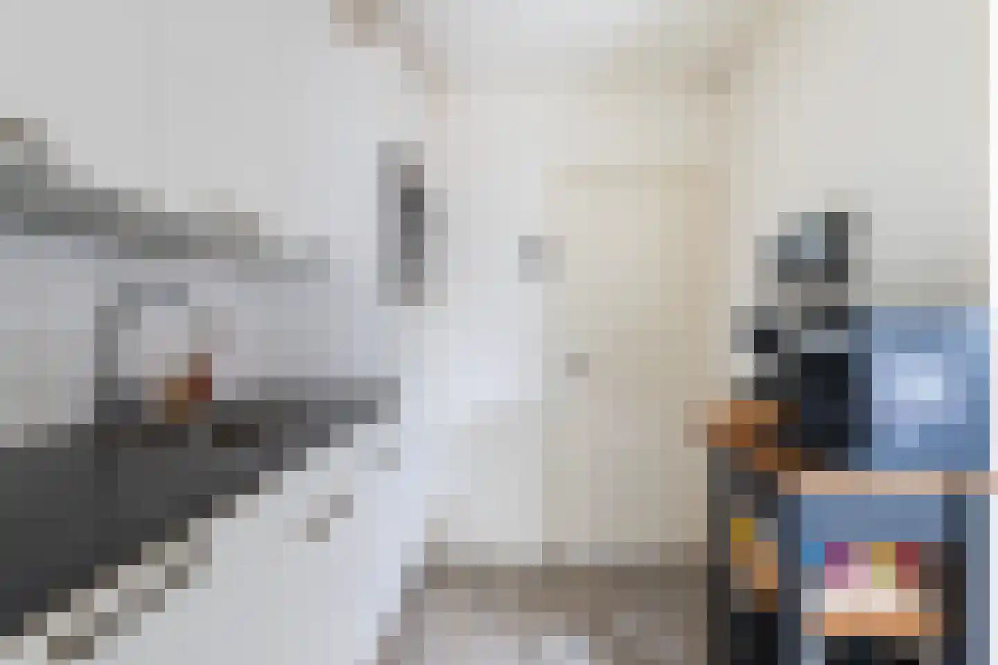 Leeuwerikstraat 13 Ruurlo thumbnail 6