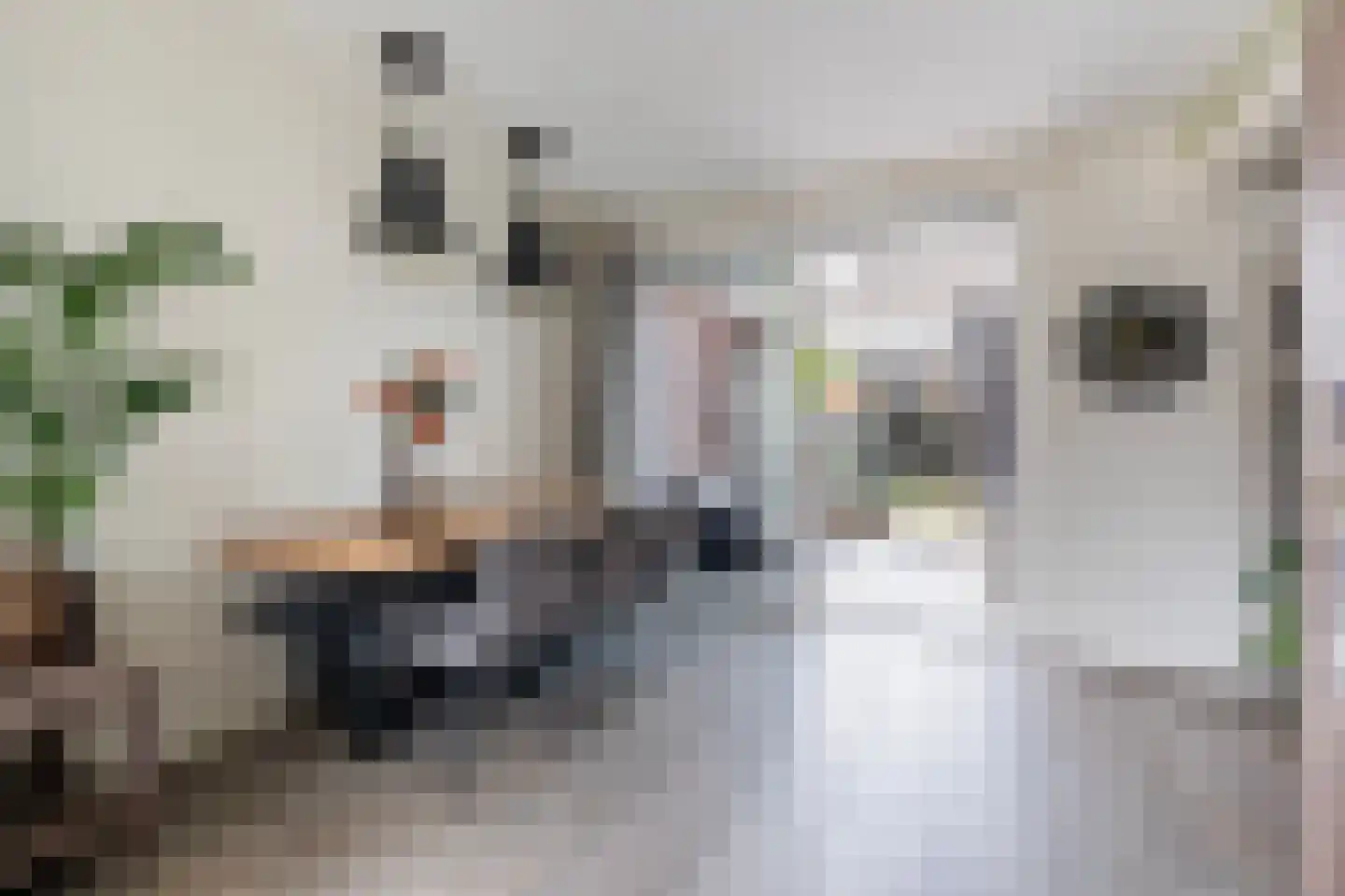 Leeuwerikstraat 13 Ruurlo thumbnail 7