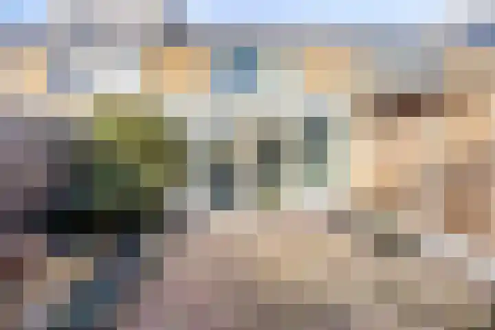 Leeuwerikstraat 13 Sommelsdijk thumbnail 5