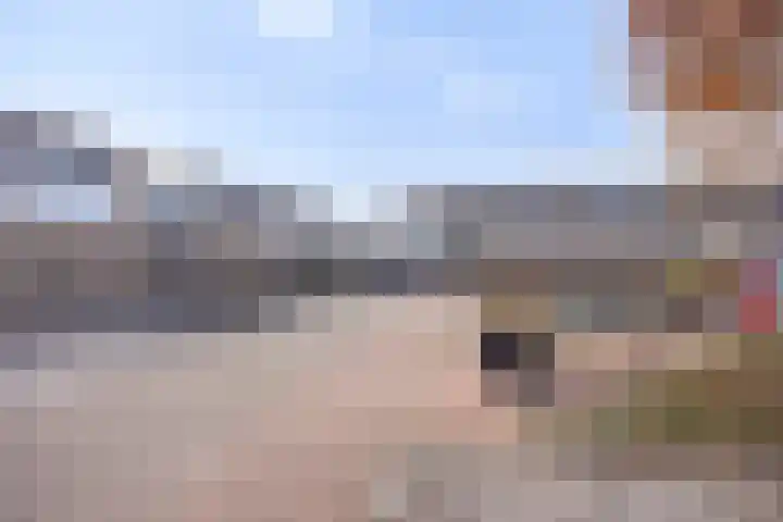Leeuwerikstraat 13 Sommelsdijk thumbnail 7