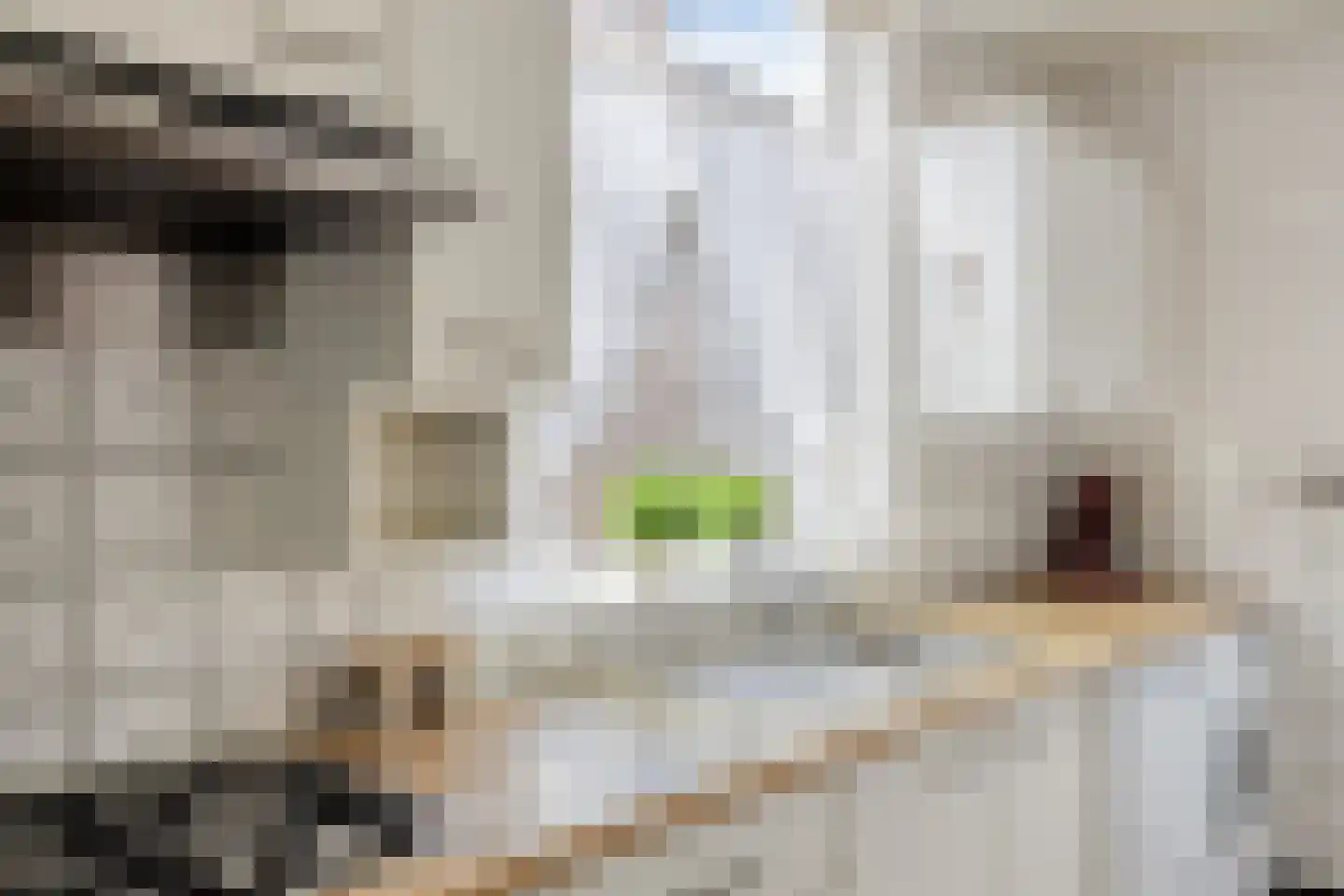 Leeuwerikstraat 14 Geleen thumbnail 18
