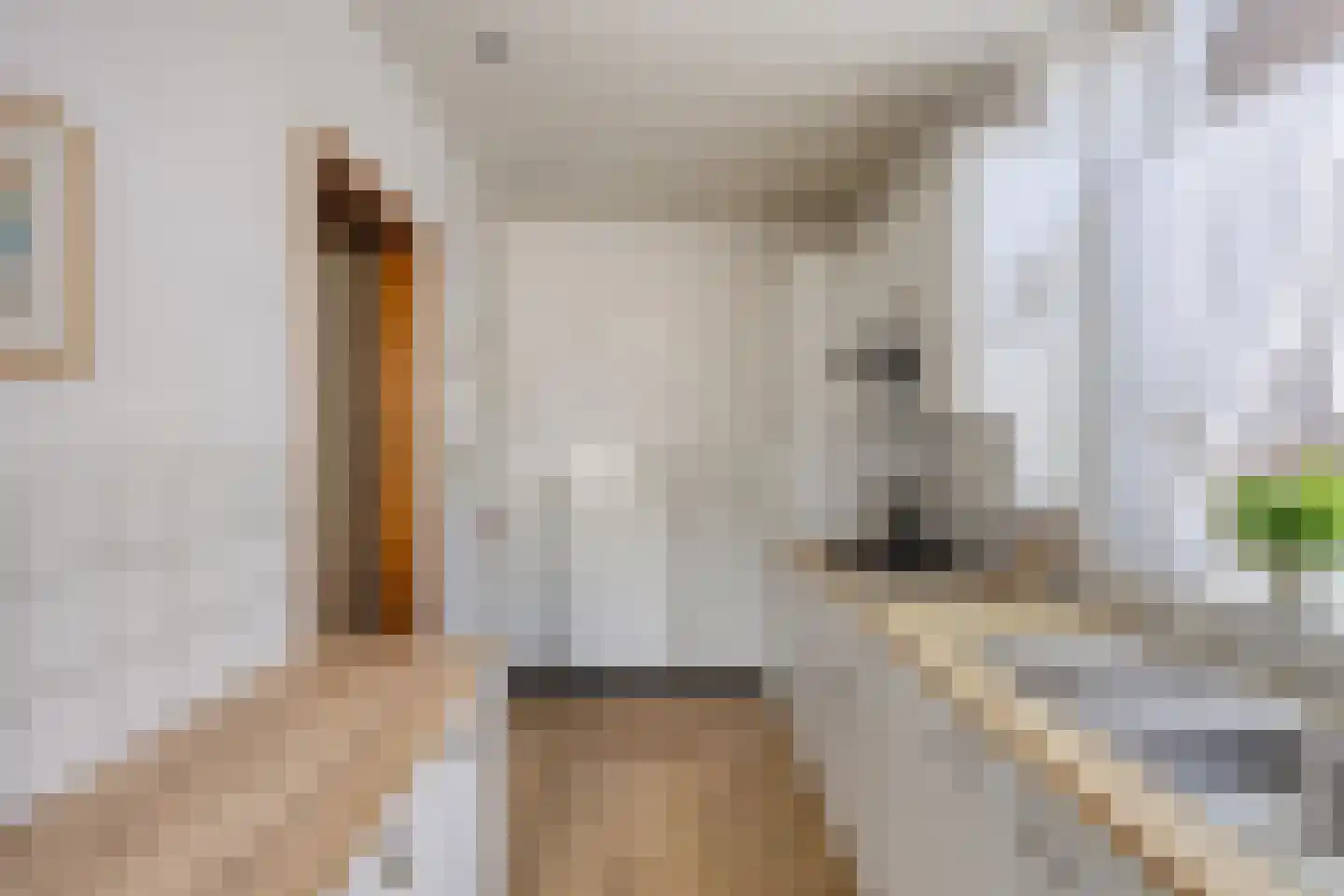 Leeuwerikstraat 14 Geleen thumbnail 19