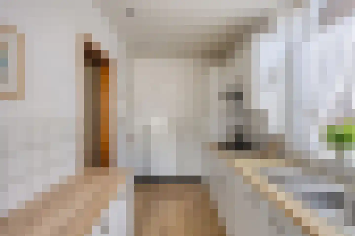 Leeuwerikstraat 14 Geleen thumbnail 20