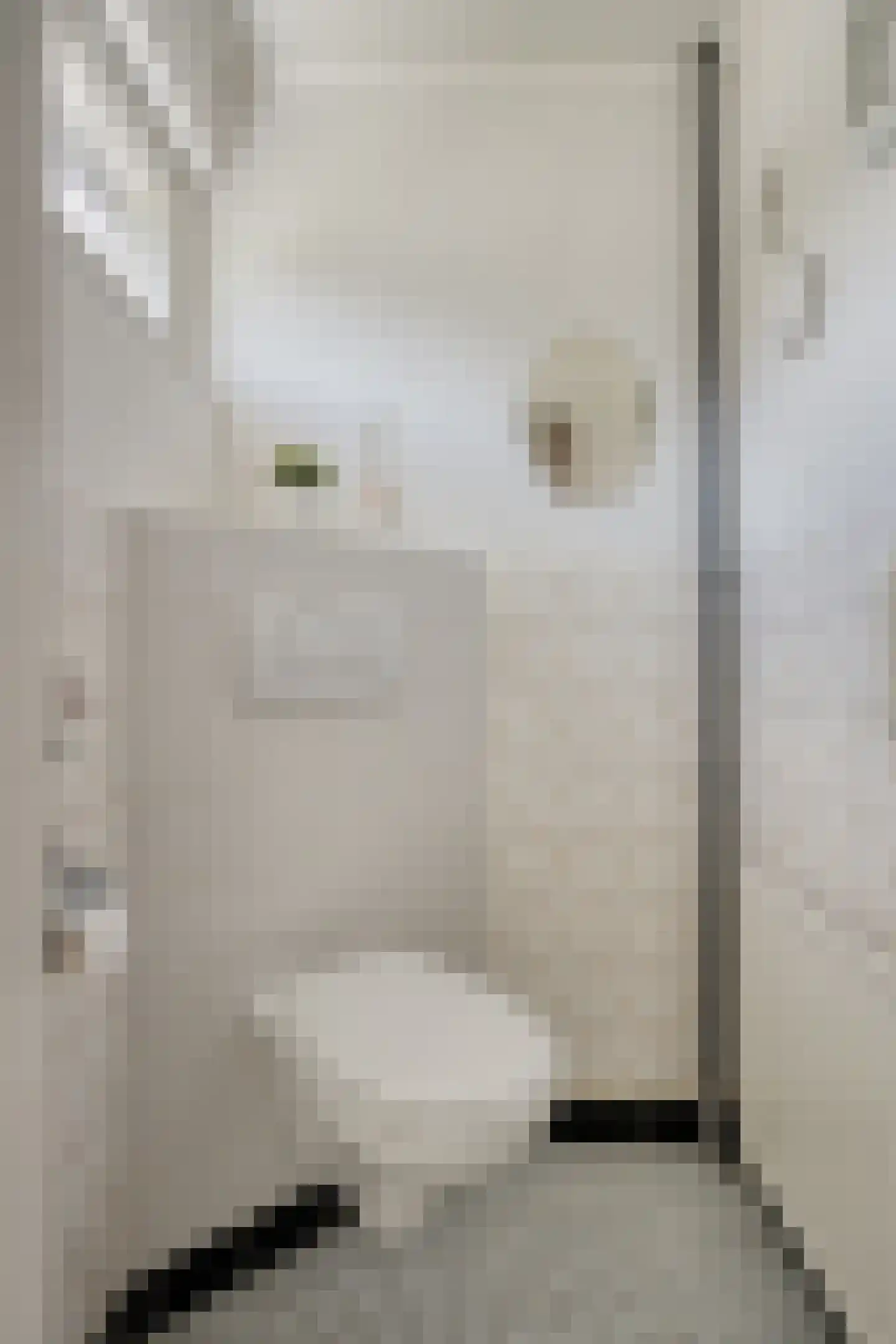 Leeuwerikstraat 14 Geleen thumbnail 5