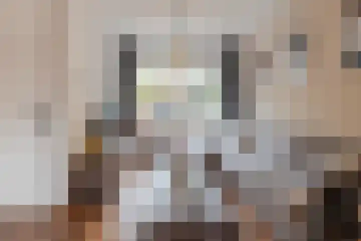 Leeuwerikstraat 14 Groot-Ammers thumbnail 10