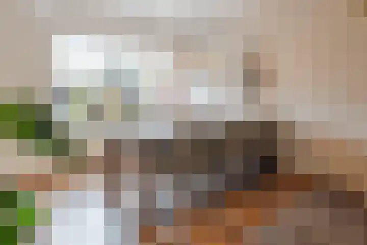 Leeuwerikstraat 14 Groot-Ammers thumbnail 11