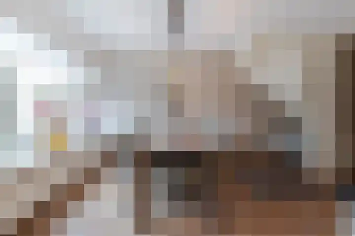 Leeuwerikstraat 14 Groot-Ammers thumbnail 17