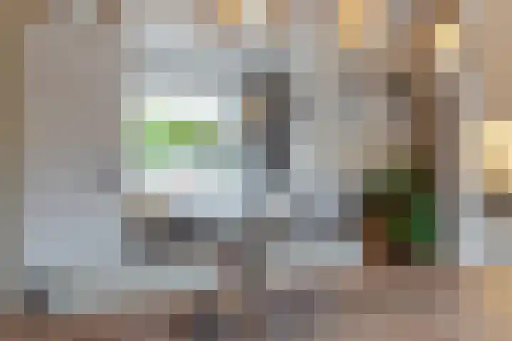 Leeuwerikstraat 14 Groot-Ammers thumbnail 18