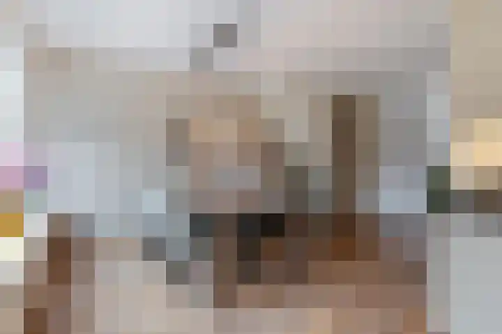 Leeuwerikstraat 14 Groot-Ammers thumbnail 20