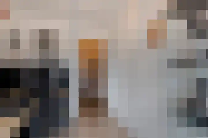 Leeuwerikstraat 14 Groot-Ammers thumbnail 27