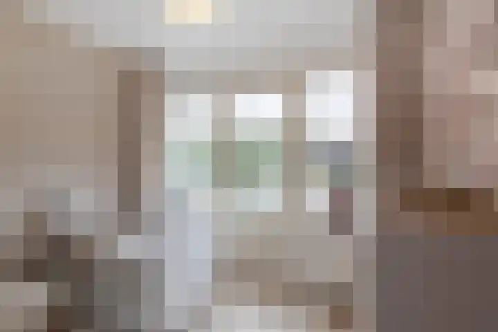 Leeuwerikstraat 14 Groot-Ammers thumbnail 28