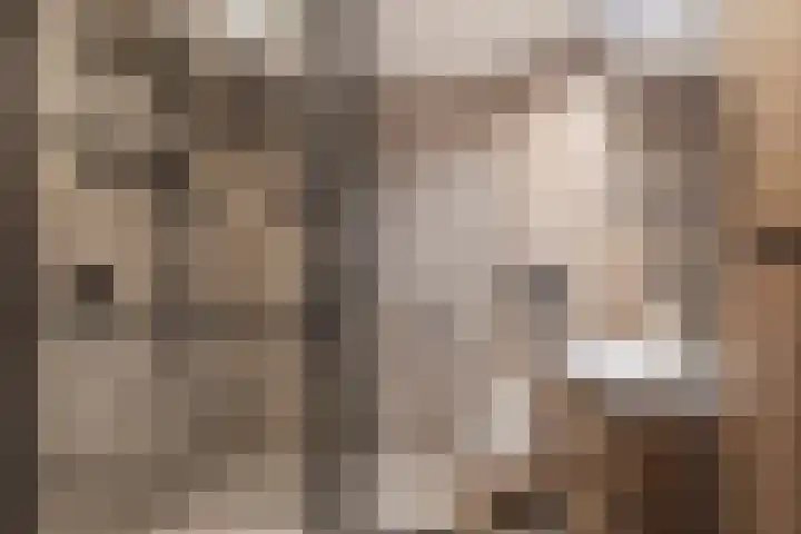 Leeuwerikstraat 14 Groot-Ammers thumbnail 4