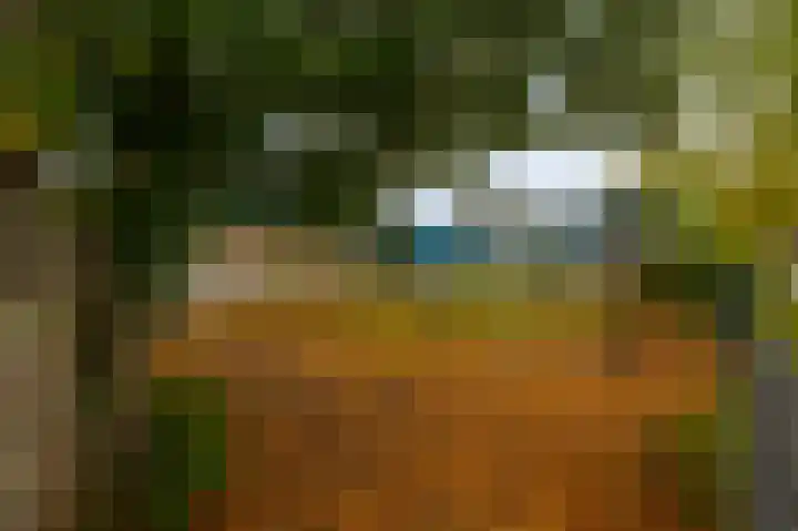 Leeuwerikstraat 14 Groot-Ammers thumbnail 42