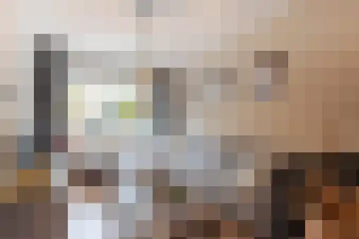 Leeuwerikstraat 14 Groot-Ammers thumbnail 8