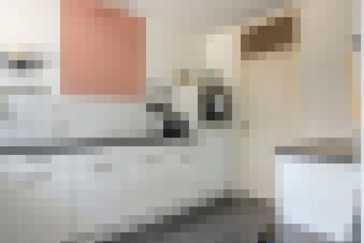 Leeuwerikstraat 14 Hulst thumbnail 12