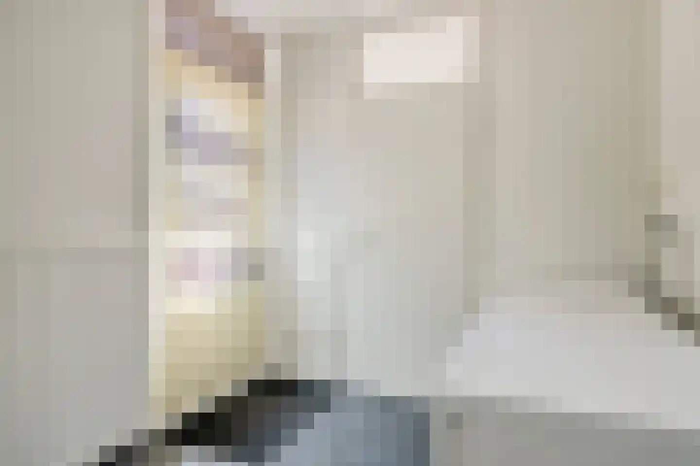 Leeuwerikstraat 14 Hulst thumbnail 13