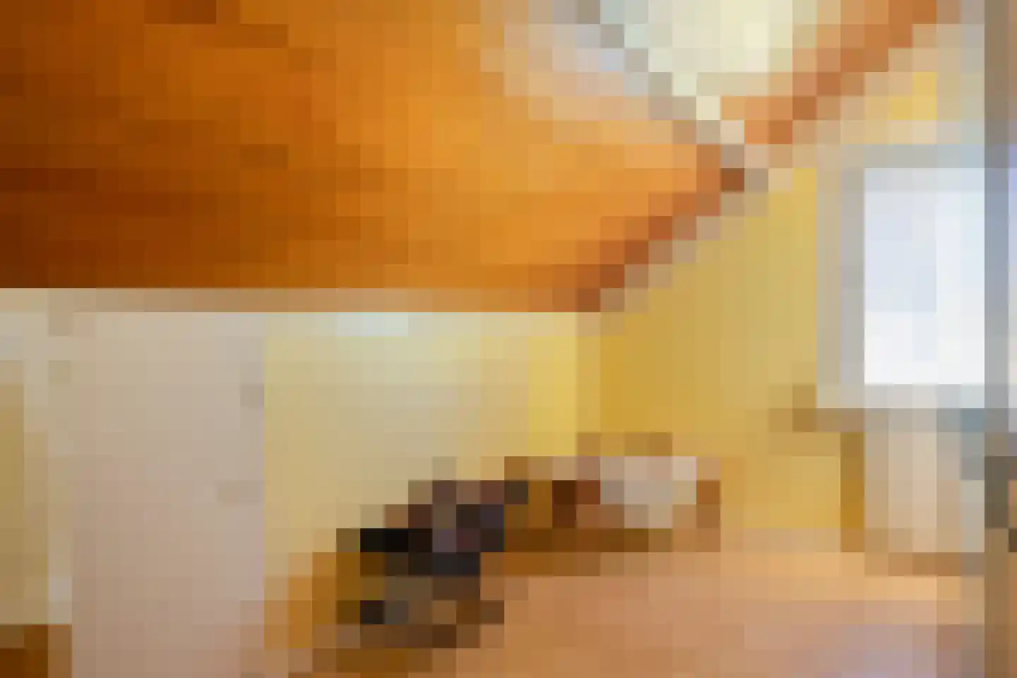 Leeuwerikstraat 14 Hulst thumbnail 22