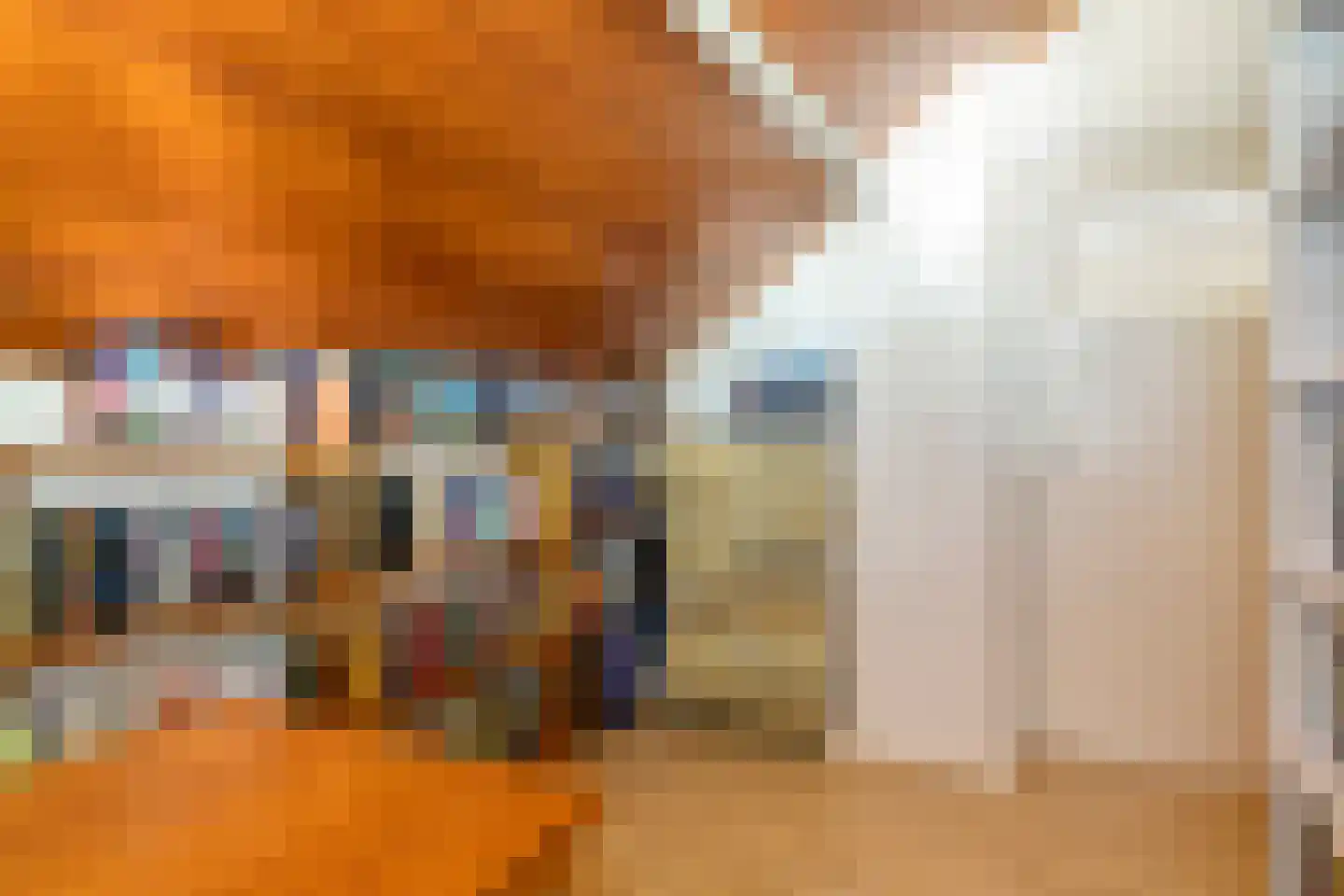 Leeuwerikstraat 14 Hulst thumbnail 25