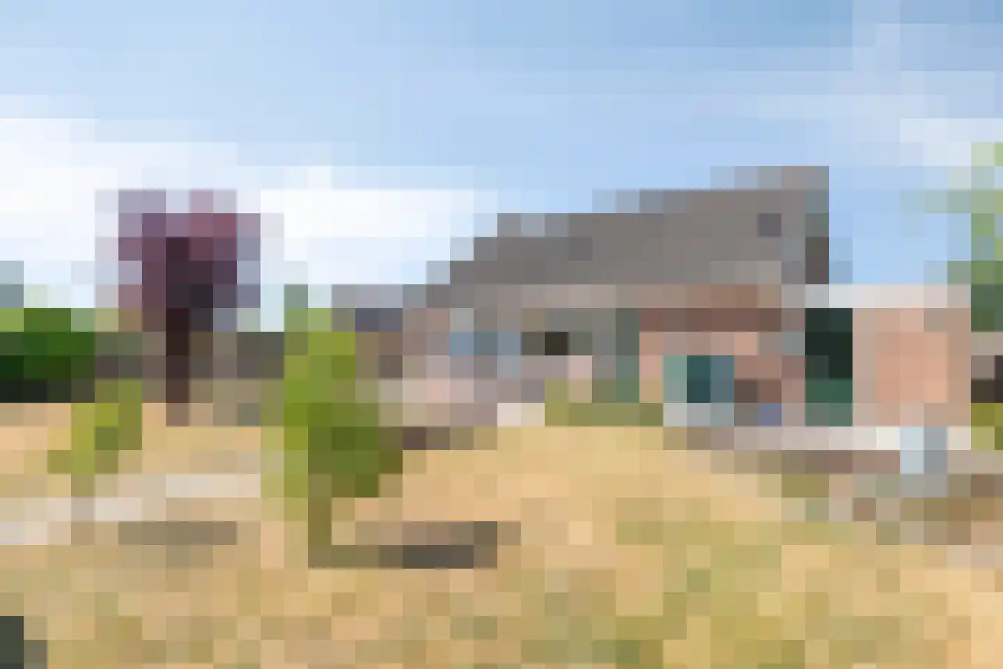 Leeuwerikstraat 14 Hulst thumbnail 27