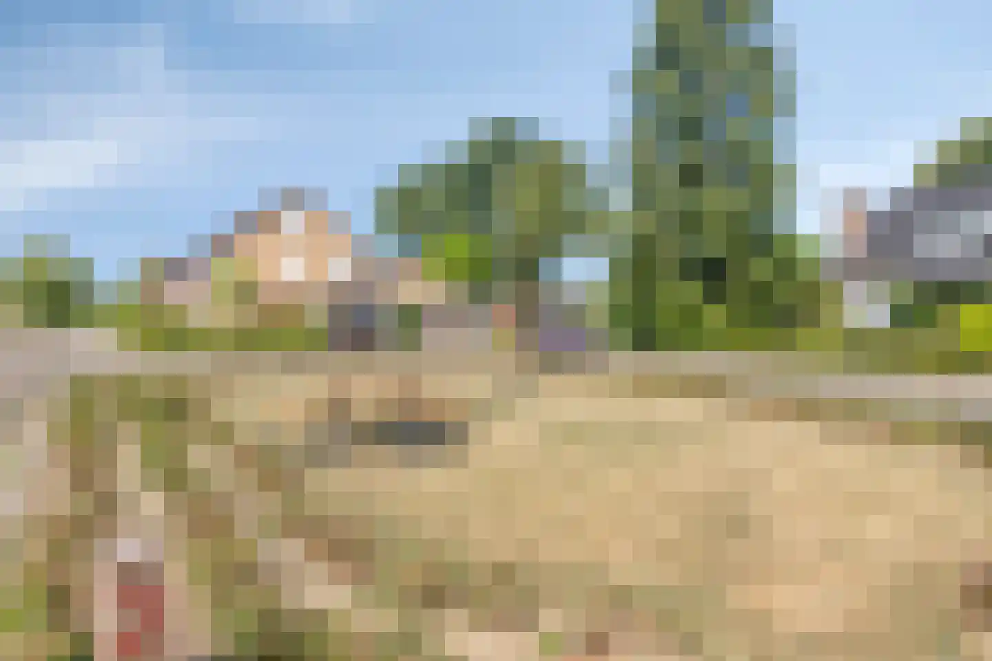 Leeuwerikstraat 14 Hulst thumbnail 32