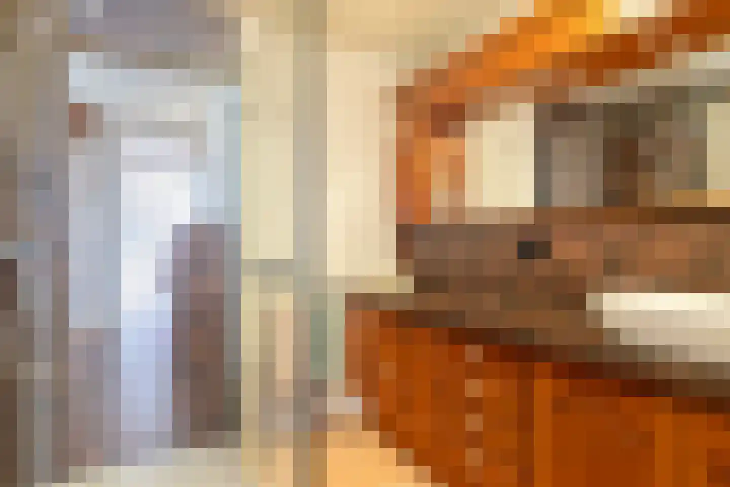 Leeuwerikstraat 14 Hulst thumbnail 4