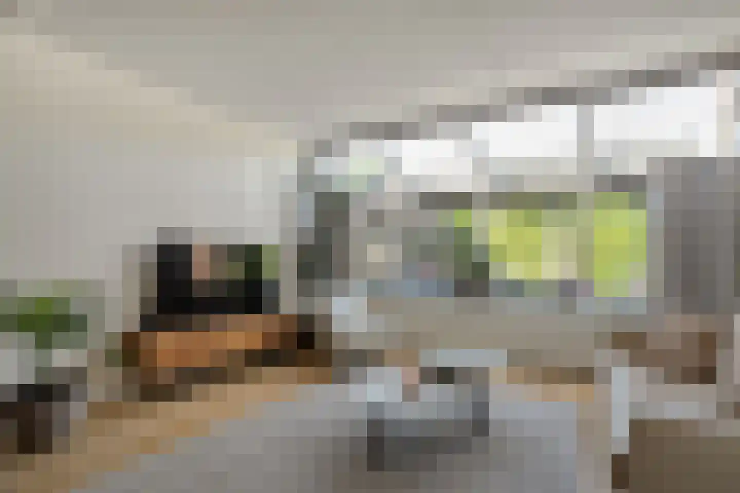 Leeuwerikstraat 15 Nijeveen thumbnail 10
