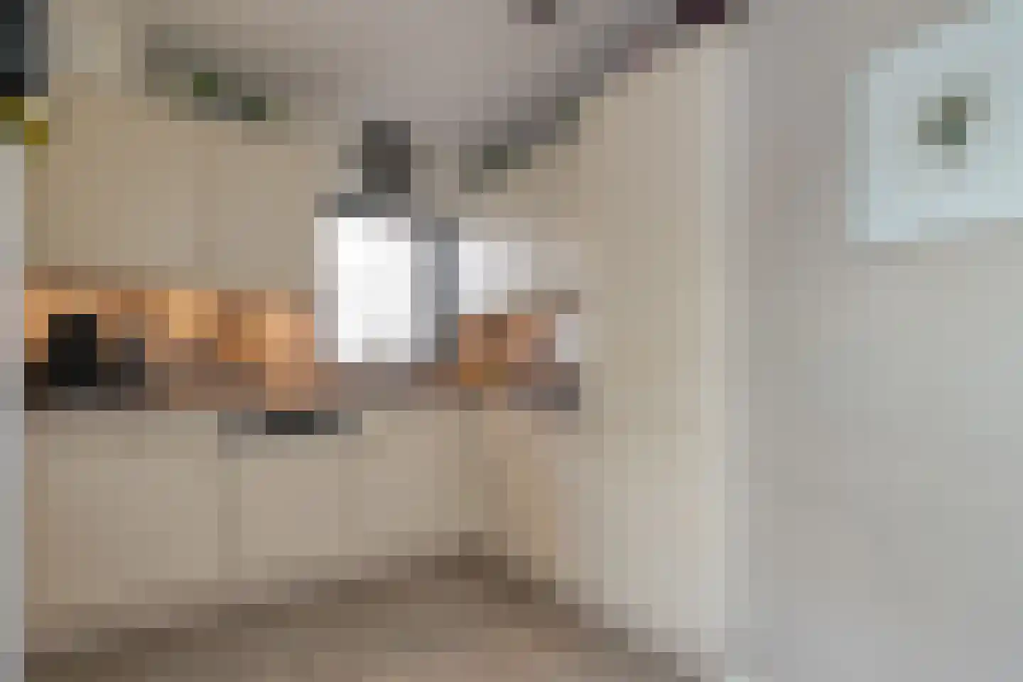 Leeuwerikstraat 15 Nijeveen thumbnail 12