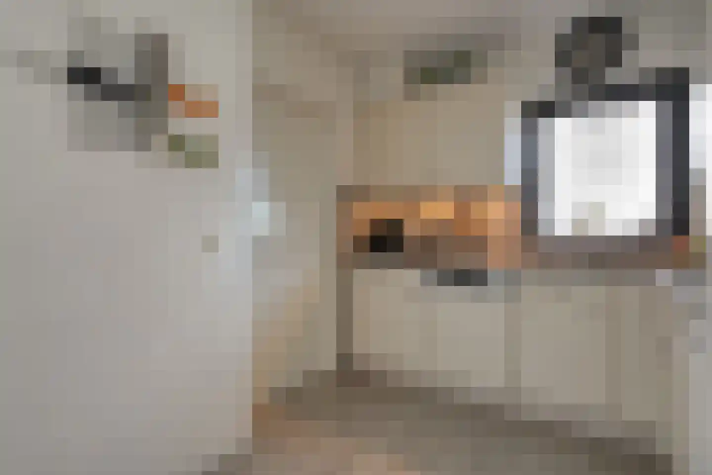 Leeuwerikstraat 15 Nijeveen thumbnail 13