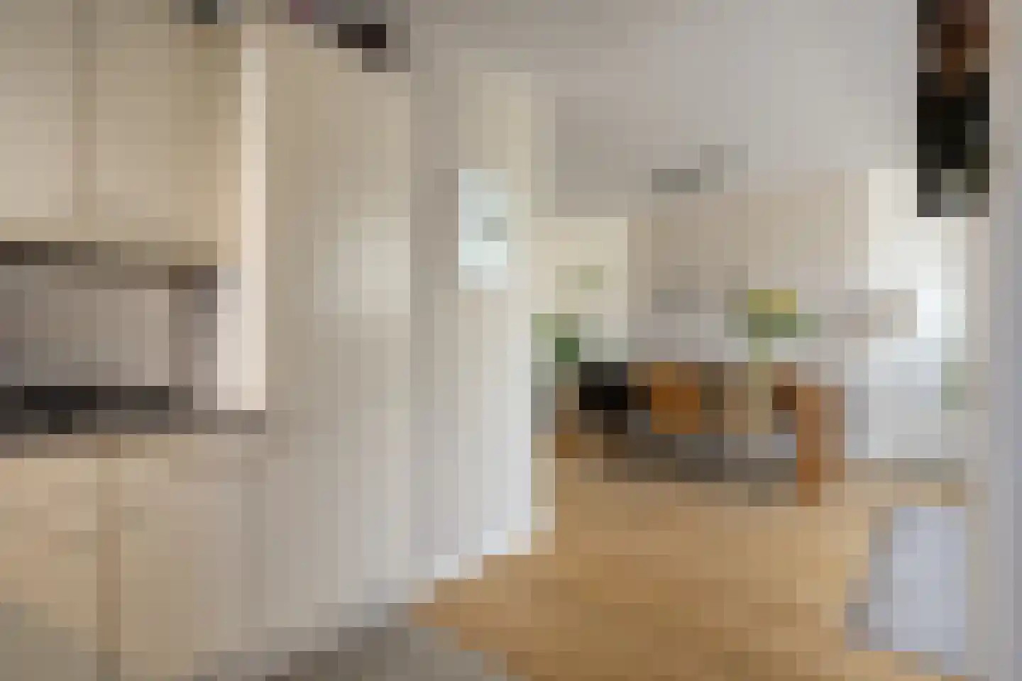 Leeuwerikstraat 15 Nijeveen thumbnail 14