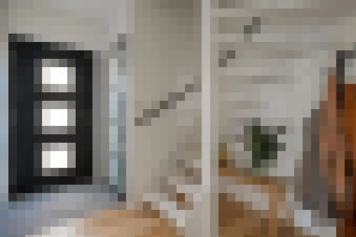 Leeuwerikstraat 15 Nijeveen thumbnail 21