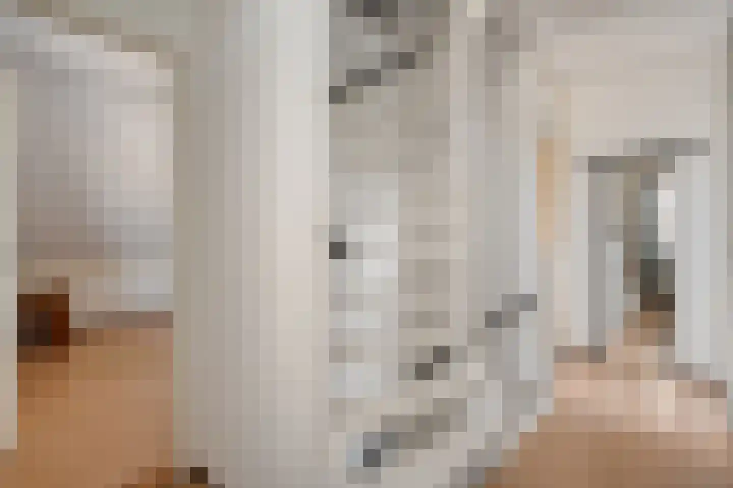 Leeuwerikstraat 15 Nijeveen thumbnail 22