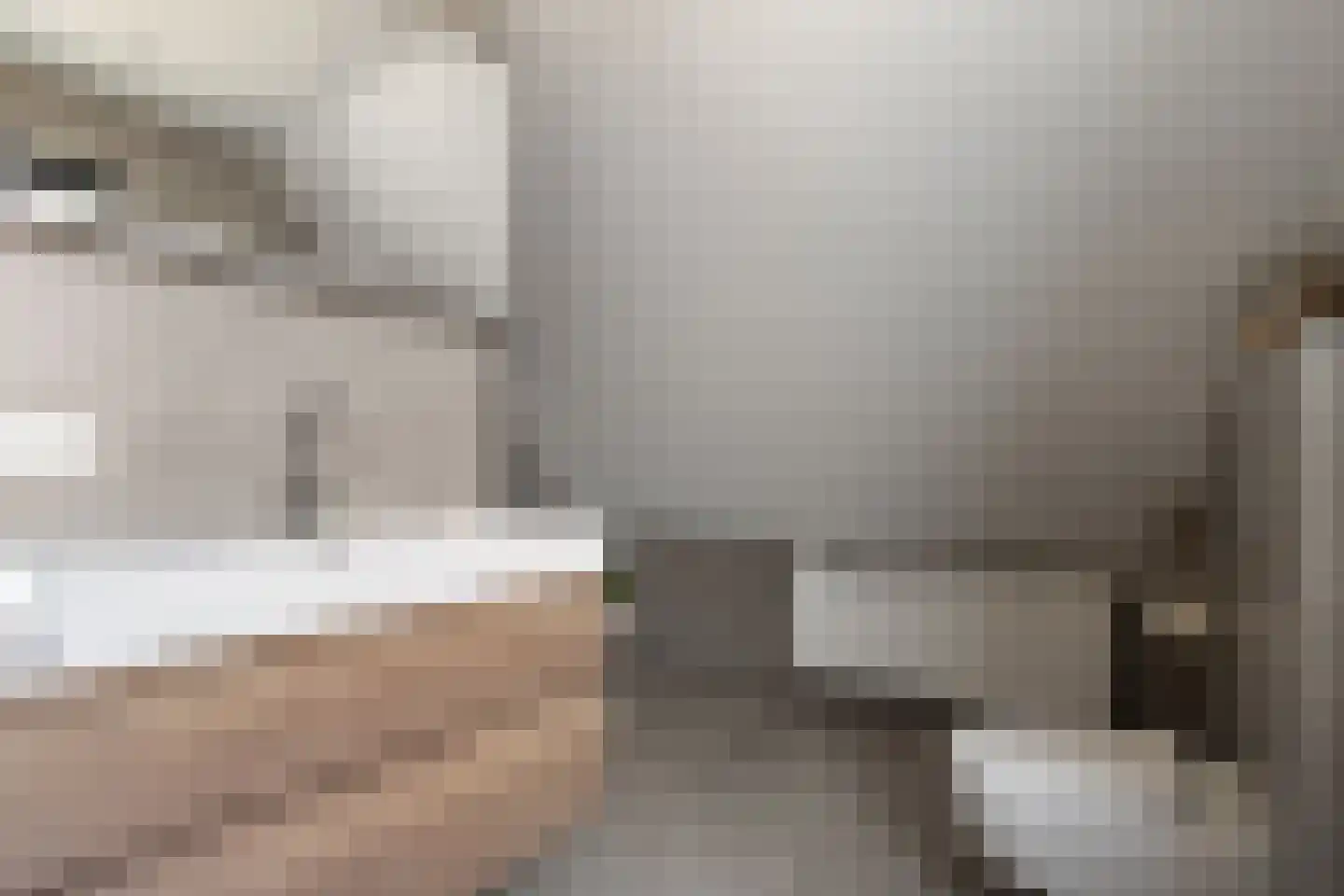 Leeuwerikstraat 15 Nijeveen thumbnail 30