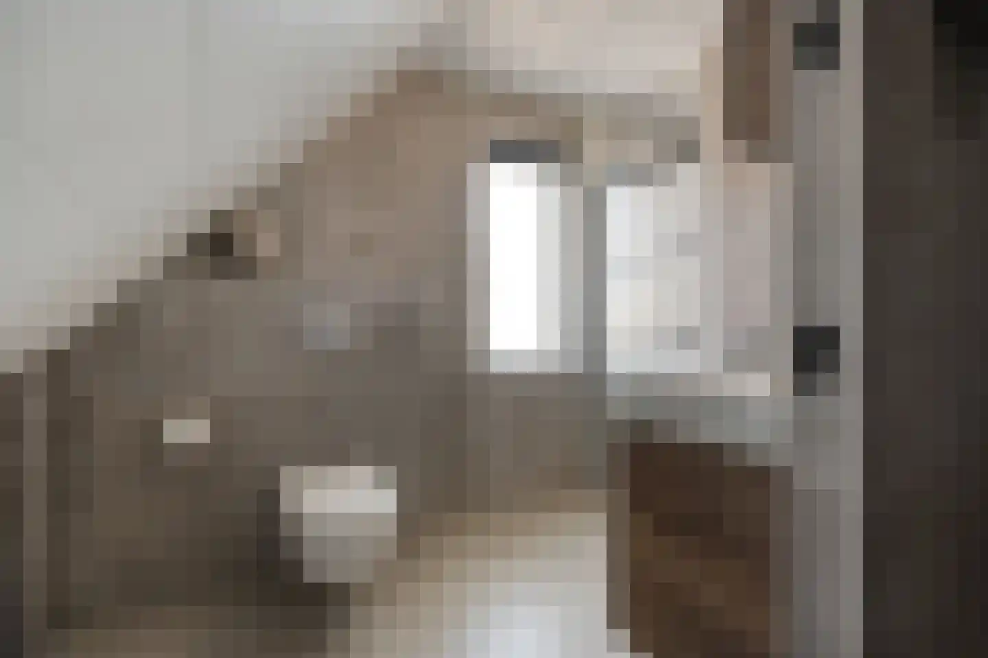 Leeuwerikstraat 15 Nijeveen thumbnail 32
