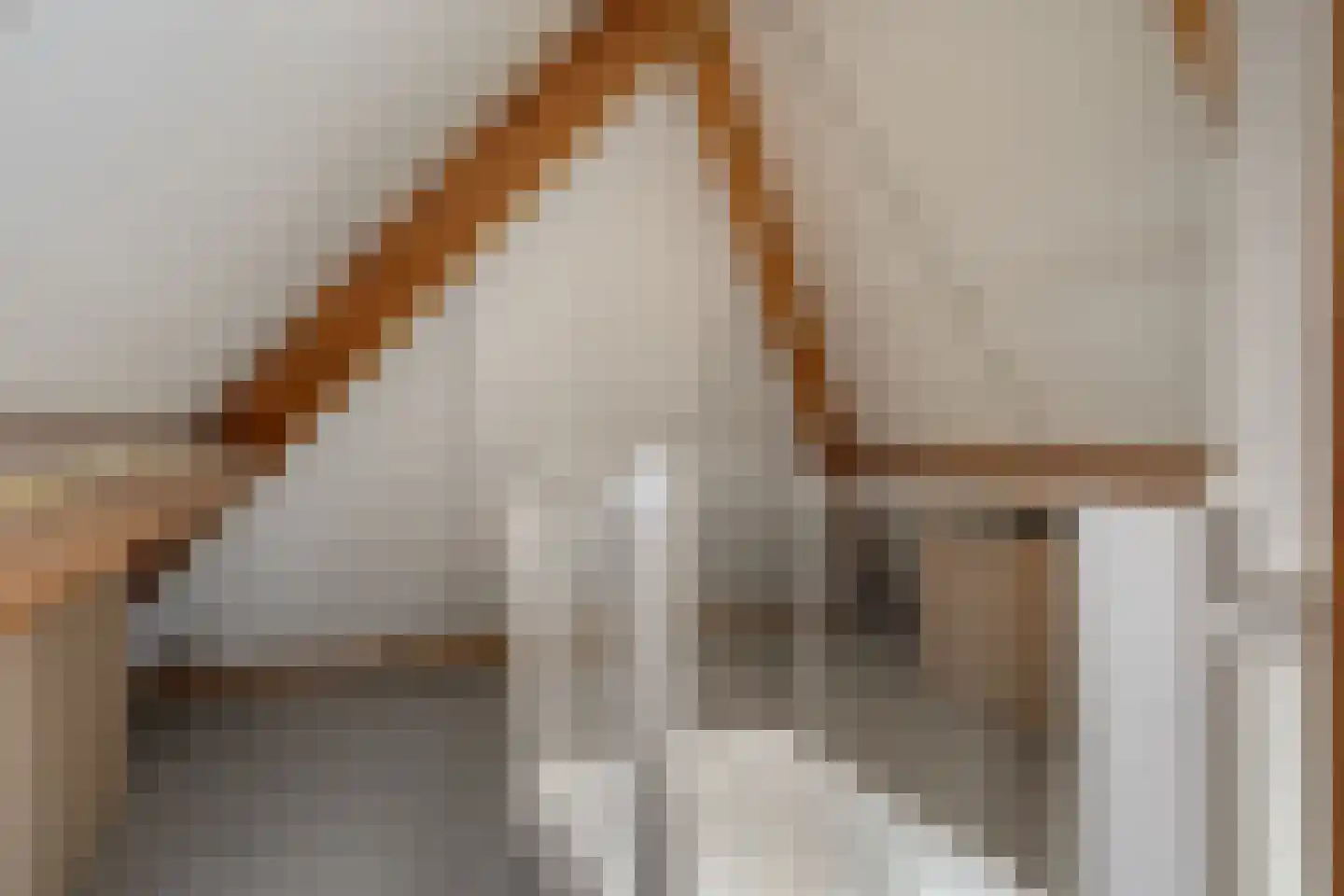 Leeuwerikstraat 15 Nijeveen thumbnail 33