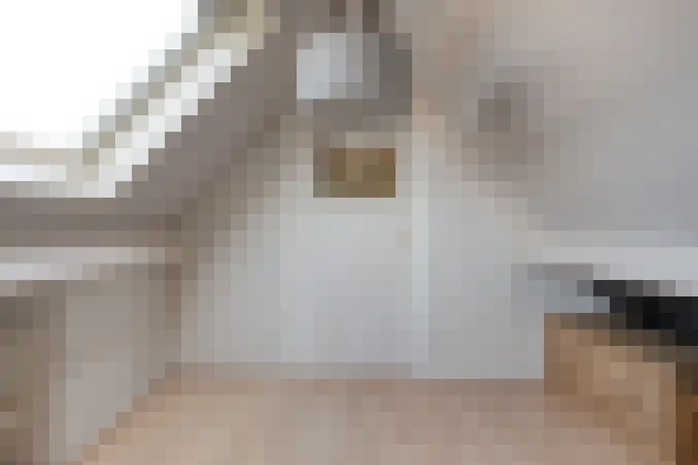 Leeuwerikstraat 15 Nijeveen thumbnail 35