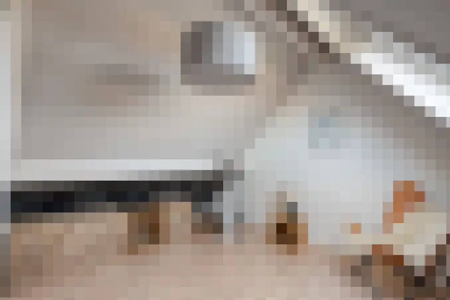 Leeuwerikstraat 15 Nijeveen thumbnail 36