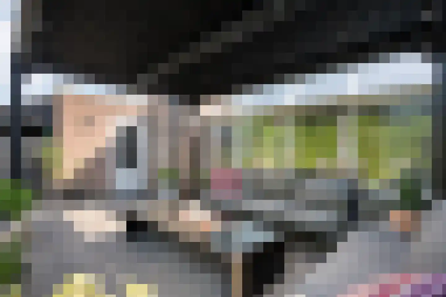 Leeuwerikstraat 15 Nijeveen thumbnail 37