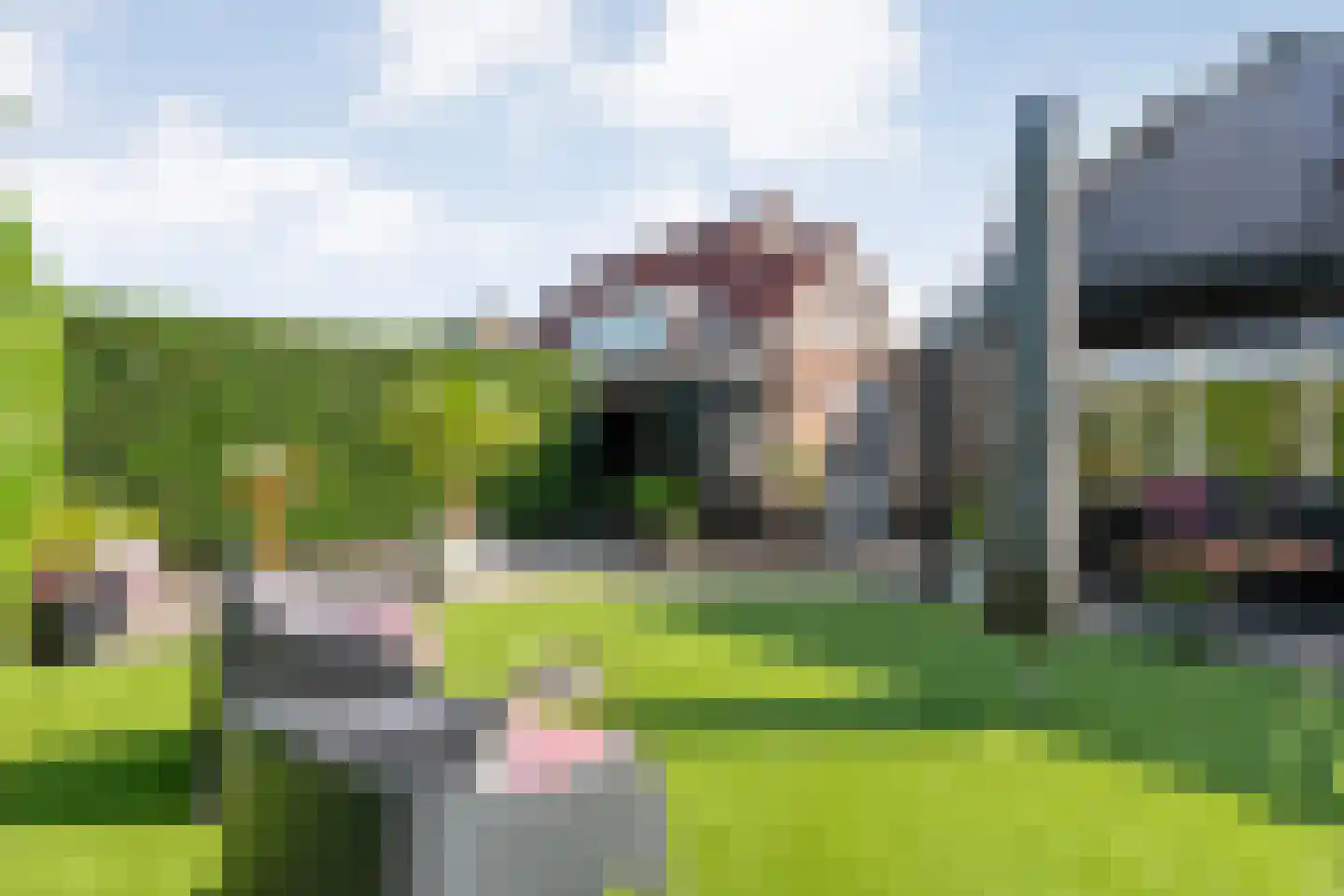 Leeuwerikstraat 15 Nijeveen thumbnail 39