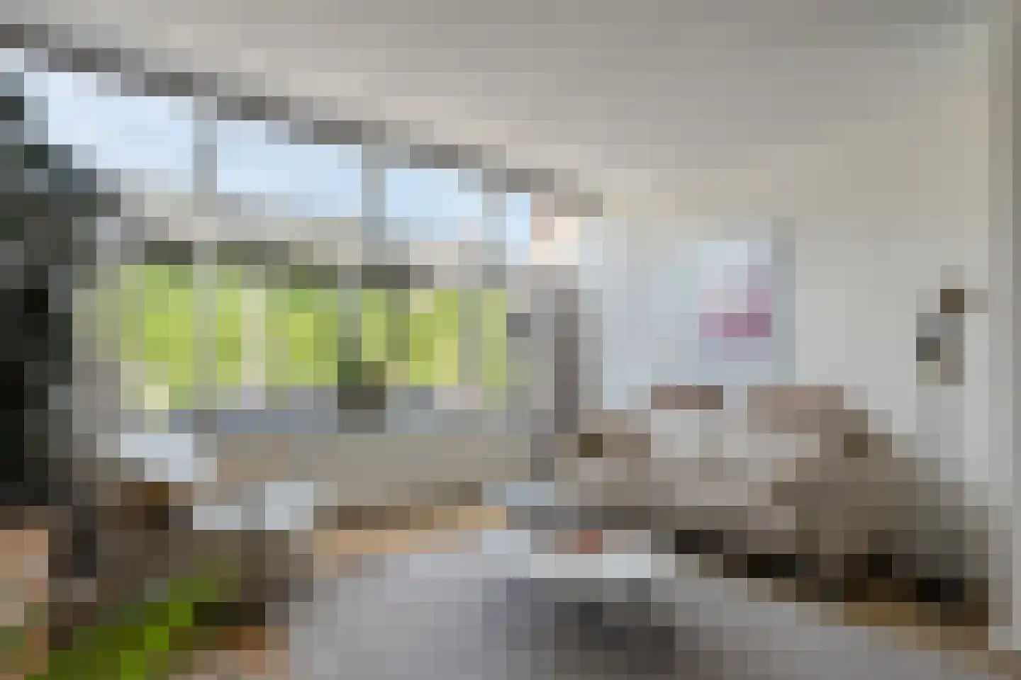 Leeuwerikstraat 15 Nijeveen thumbnail 4