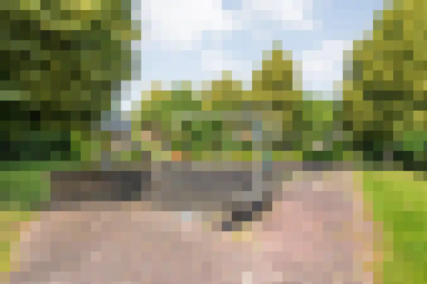 Leeuwerikstraat 15 Nijeveen thumbnail 49