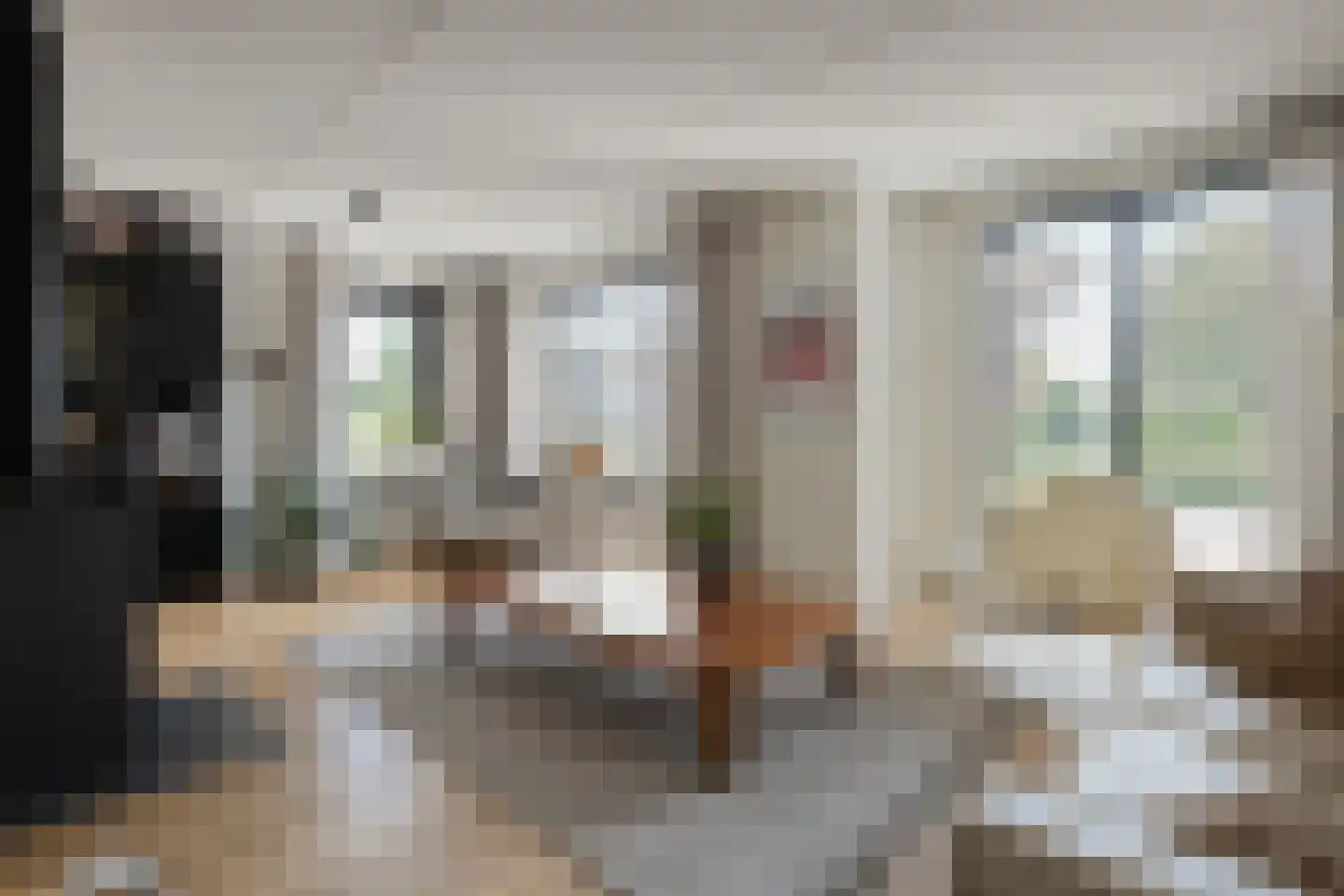 Leeuwerikstraat 15 Nijeveen thumbnail 6