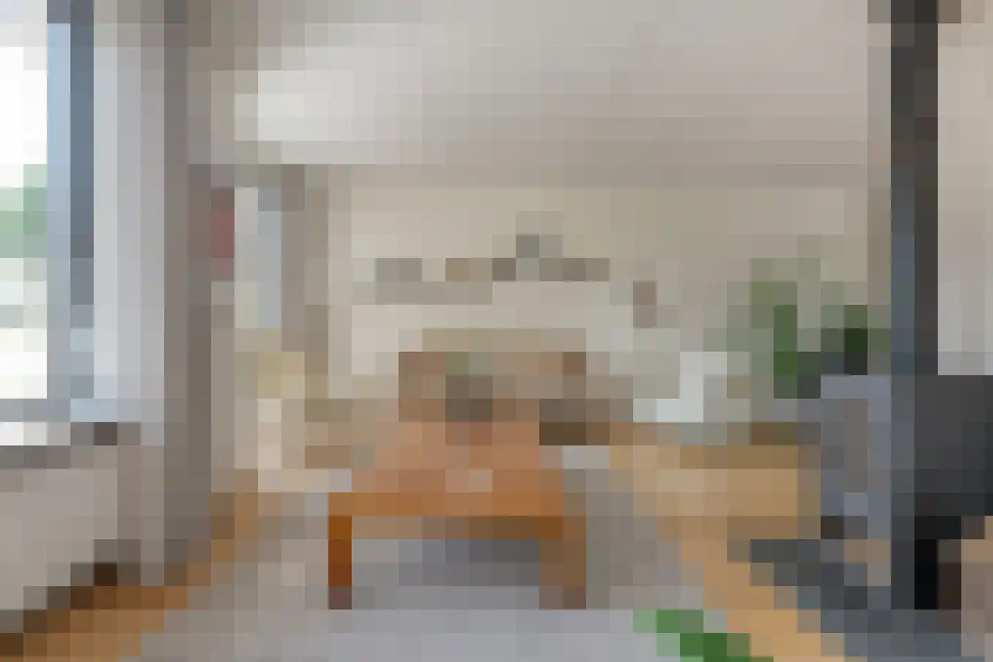 Leeuwerikstraat 15 Nijeveen thumbnail 7