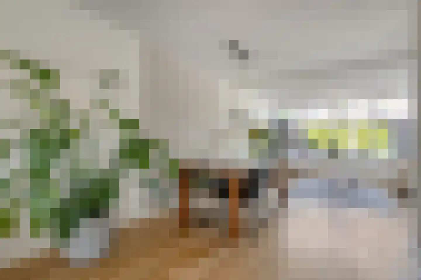 Leeuwerikstraat 15 Nijeveen thumbnail 8