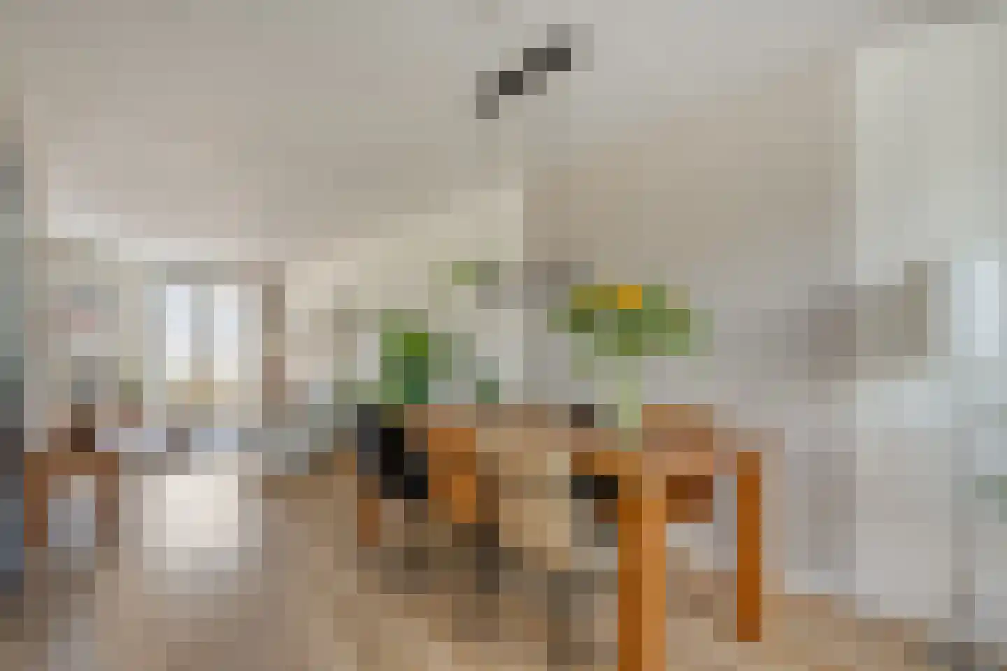 Leeuwerikstraat 15 Nijeveen thumbnail 9