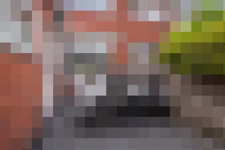 Leeuwerikstraat 150 Leeuwarden thumbnail 30