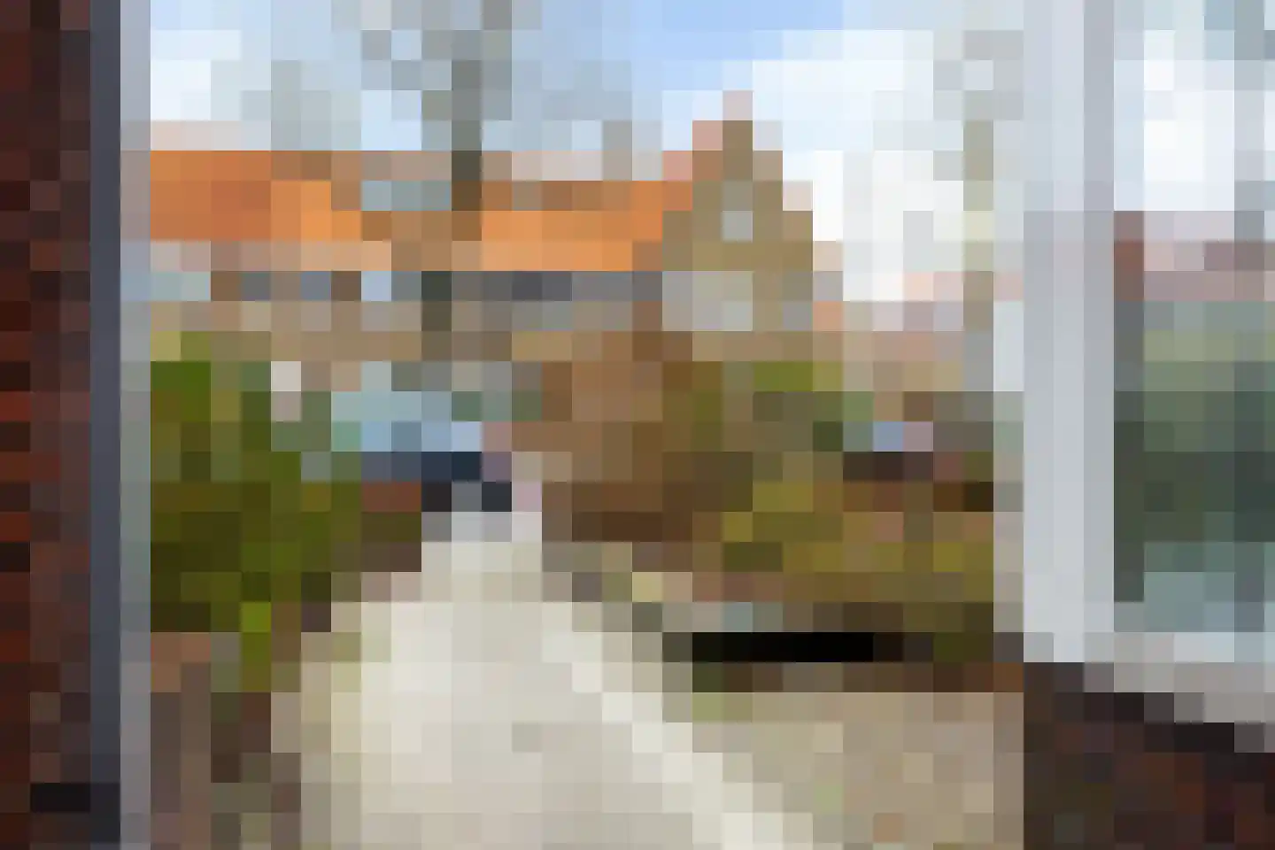 Leeuwerikstraat 151 Leeuwarden thumbnail 40