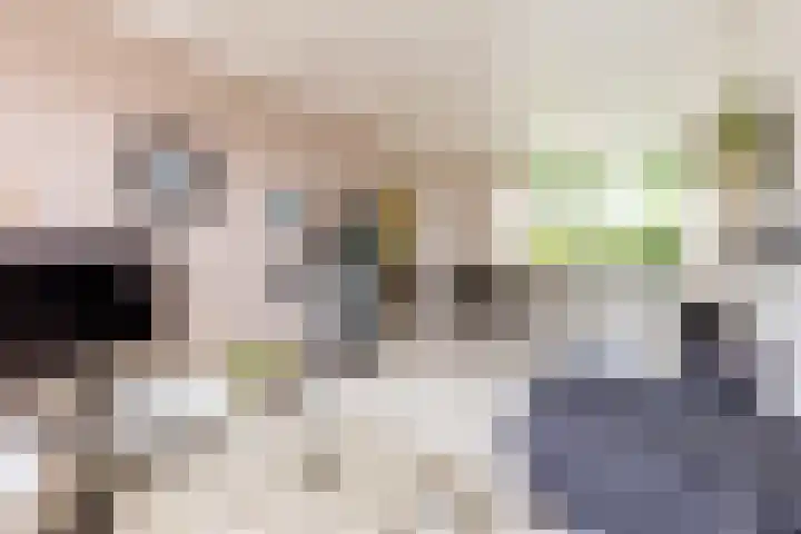 Leeuwerikstraat 16 Strijen thumbnail 12
